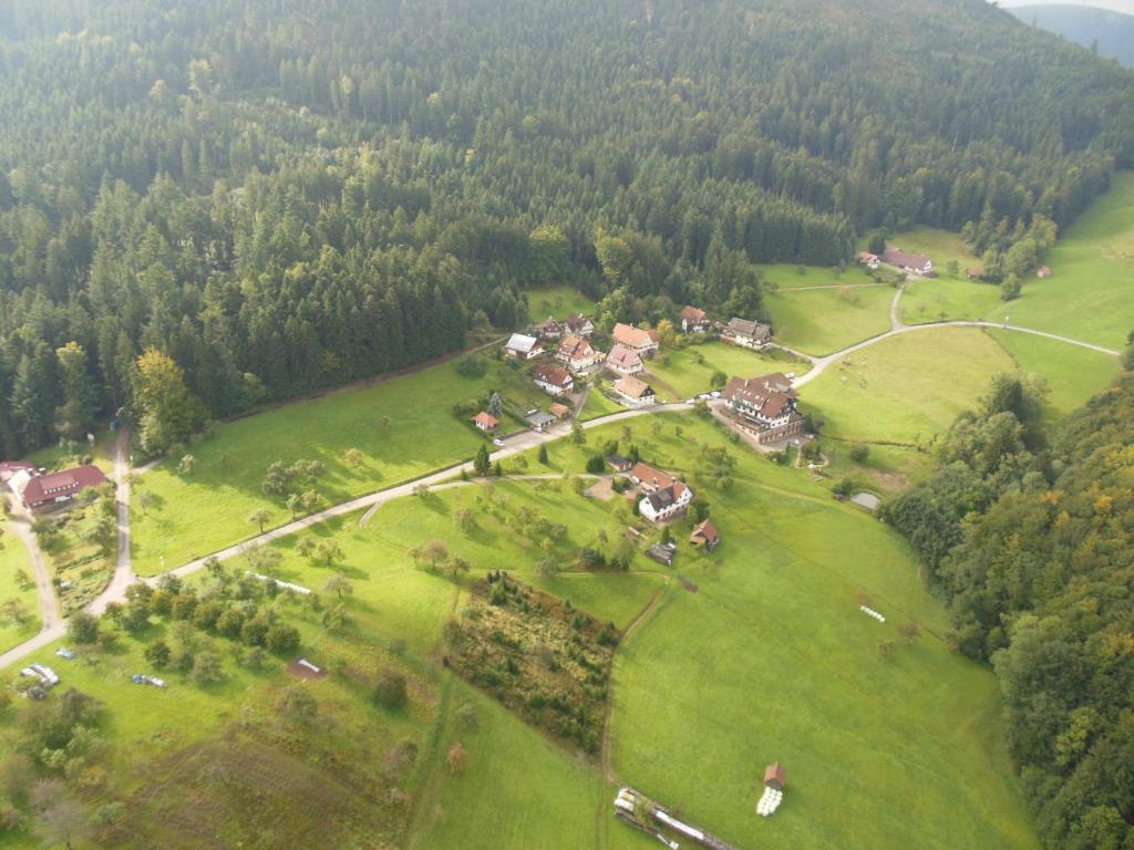 Hoehenhotel & Restaurant Kalikutt Oppenau Eksteriør bilde